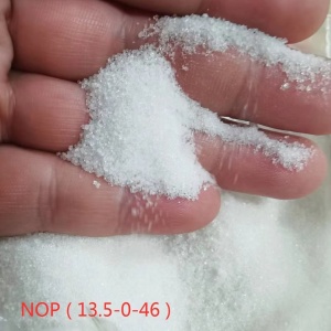 NOP/Potassium Nitrate/Nitrate of Potash