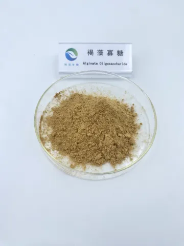 Sodium Alginate