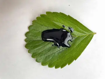 Mineral Potassium Fulvic Acid Liquid