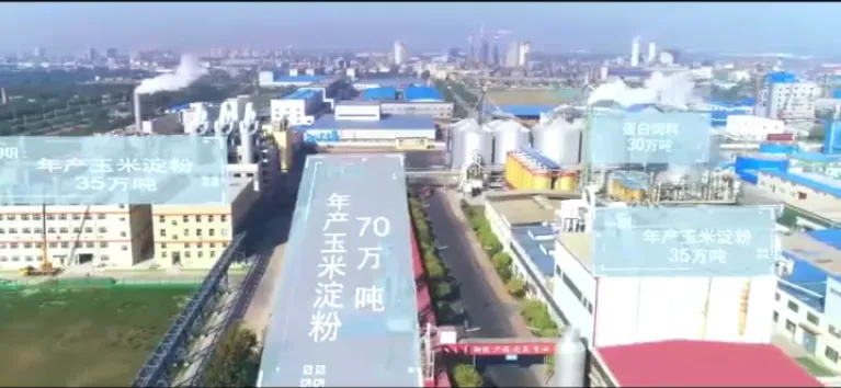 Factory Office