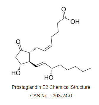 Prostaglandin E2 