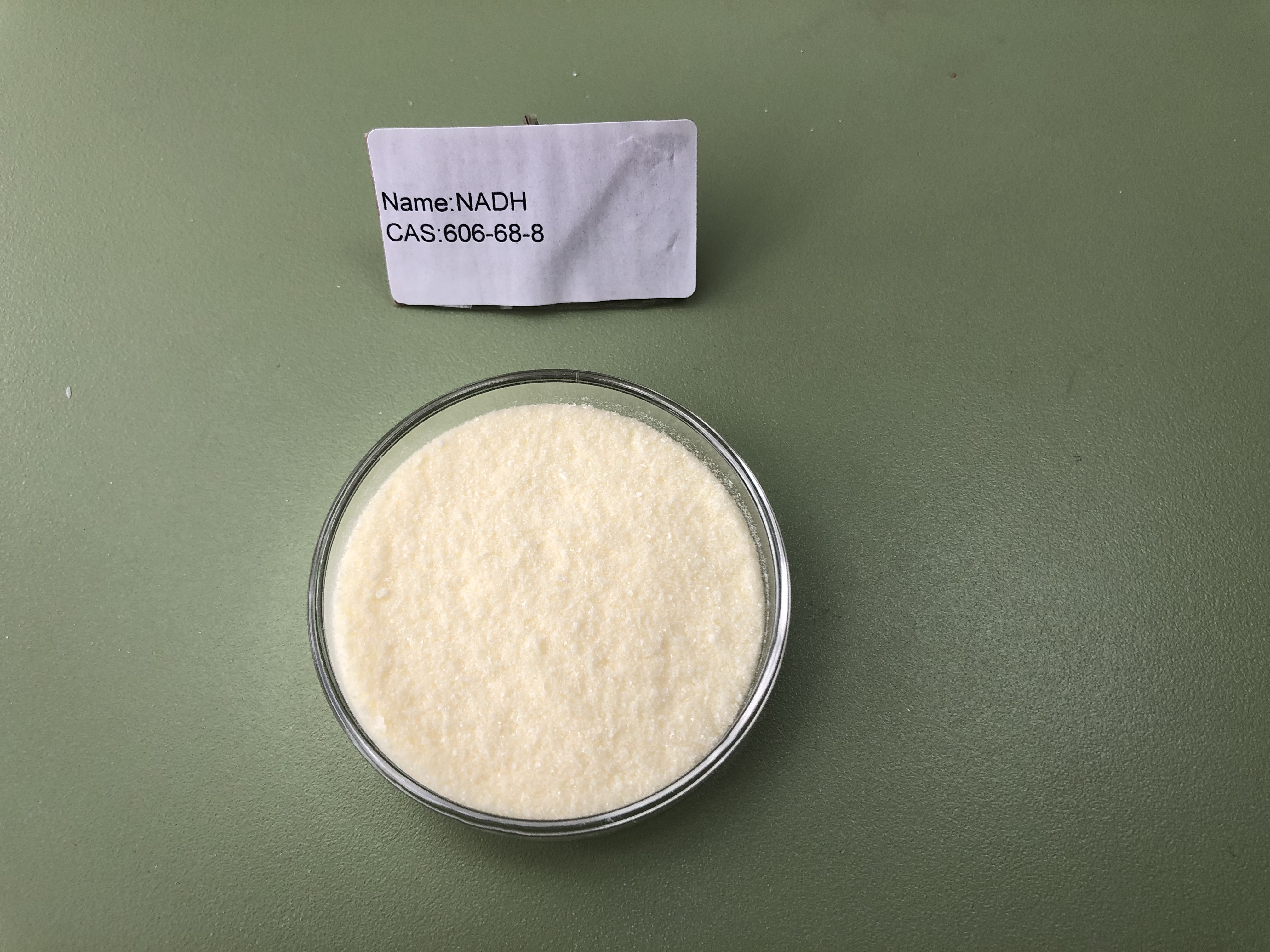 Beta-Nicotinamide Adenine Dinucleotide, Disodium salt