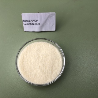 beta-Nicotinamide adenine dinucleotide disodium salt；NADH 606-68-8