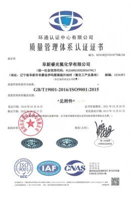 ISO9001(Chinese)