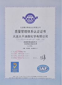 ISO9001(Chinese)