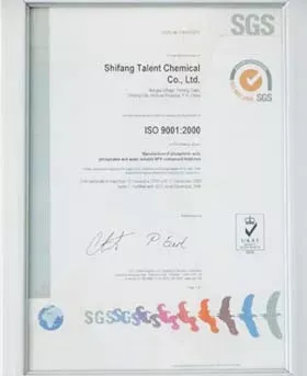 ISO9001(English)