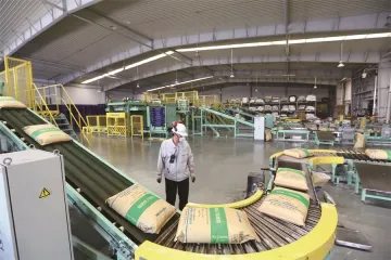 3-Methyl-1-Phenyl-2-Pyrazoline-5-One/1,3,5-PMP