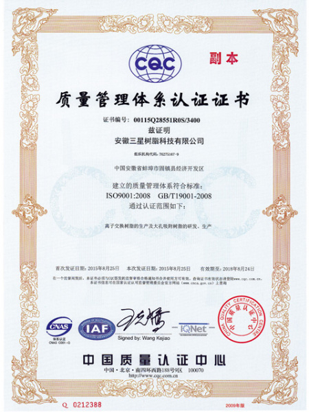 ISO9001(Chinese)