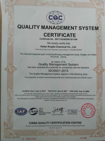 ISO9001(English)