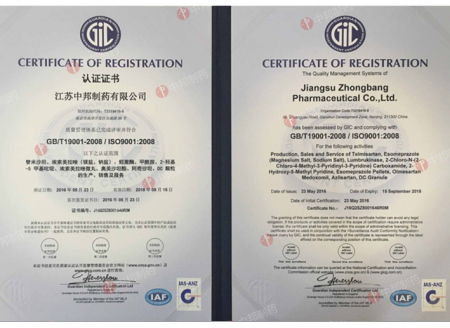 ISO9001(Chinese)