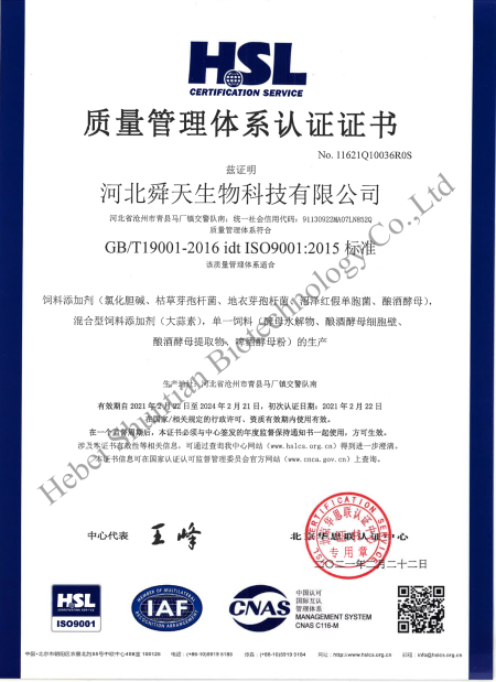 ISO9001(Chinese)