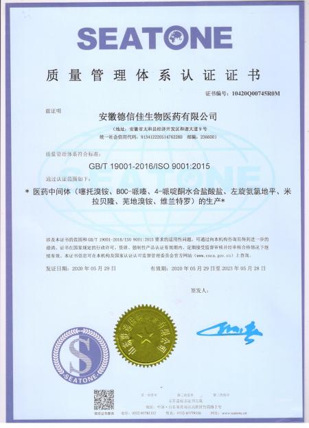 ISO9001(Chinese)