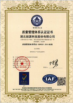 ISO9001(Chinese)