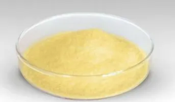 3-Hydroxy-2-Methylquinoline-4-Carboxylic Acid