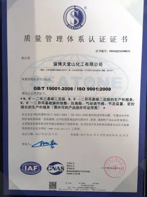 ISO9001(Chinese)