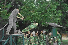 公司活动