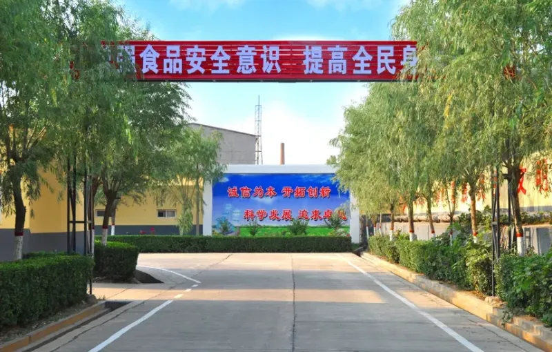 其他图片