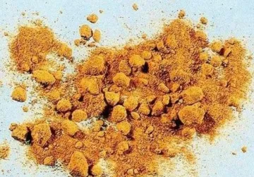 Calculus Bovis Artifactus