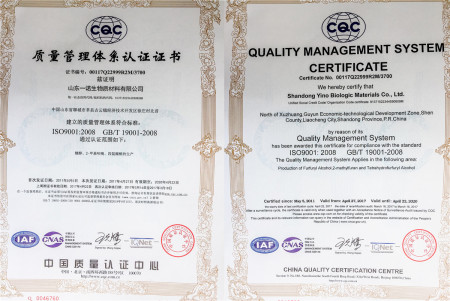 ISO9001(Chinese)