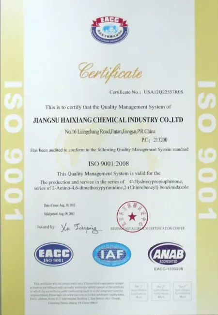 ISO9001(English)