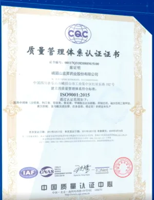 ISO9001(Chinese)