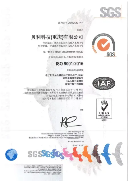 ISO9001(Chinese)