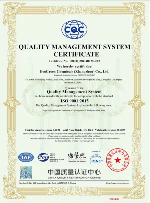 ISO9001(English)