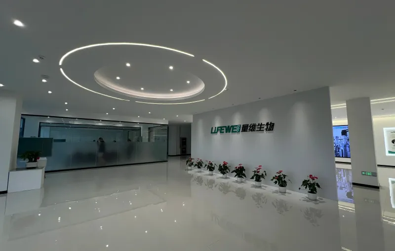 办公区域