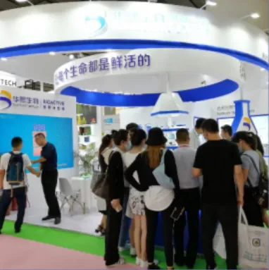 Exhibition