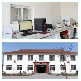 Factory Office