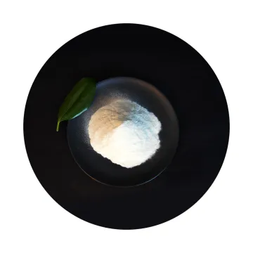 Hydroxypropyl Methyl Cellulose