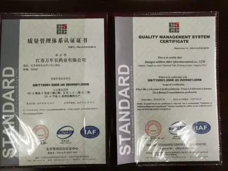 ISO9001(English)