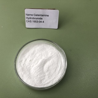 Galantamine Hydrobromide 1953-04-4