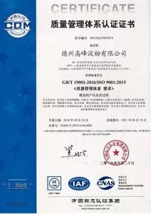 ISO9001(Chinese)