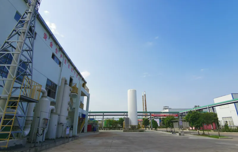 公司参展