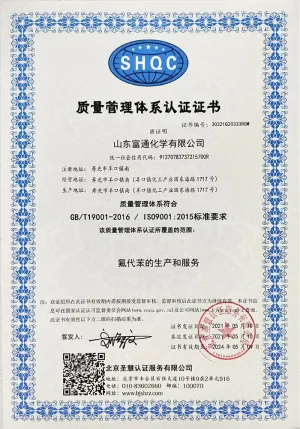 ISO9001(Chinese)