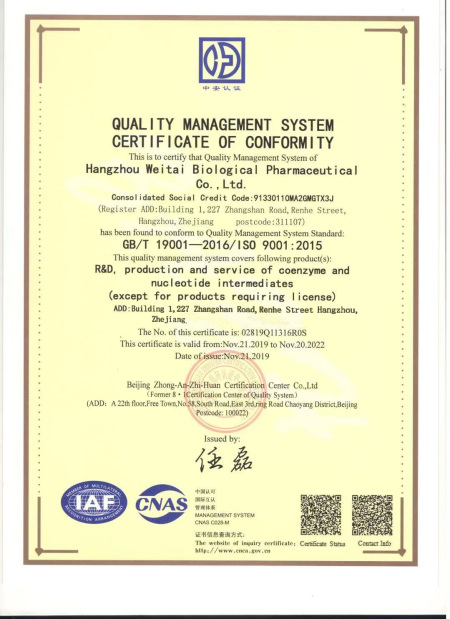 ISO9001(English)