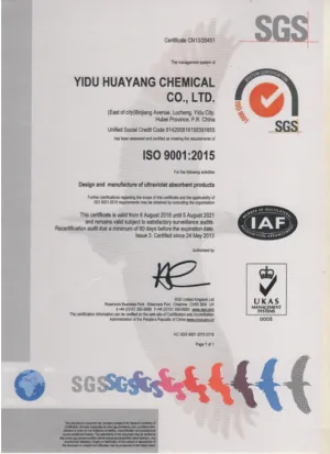 ISO9001(Chinese)