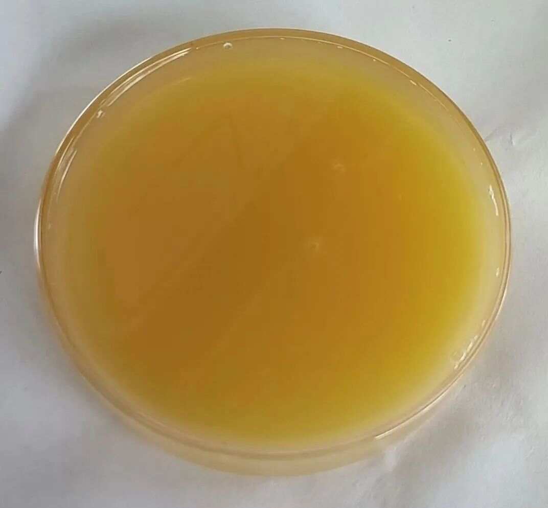 Rhamnolipid