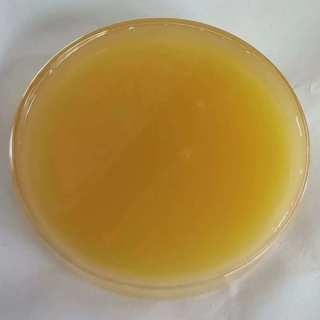 Rhamnolipid