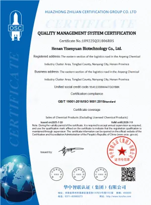 ISO9001(English)