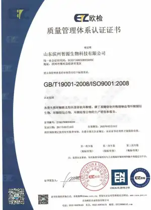 ISO9001(Chinese)