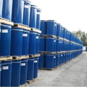 T-Butylaminoethyl Methacrylate