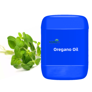 Origanum Oil
