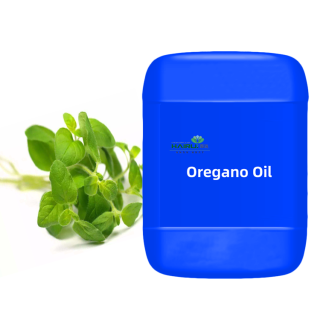 Origanum Oil Oregano Essential Oil 90%