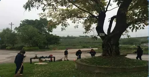 Activity