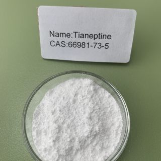 Tianeptine Acid  CAS 66981-73-5