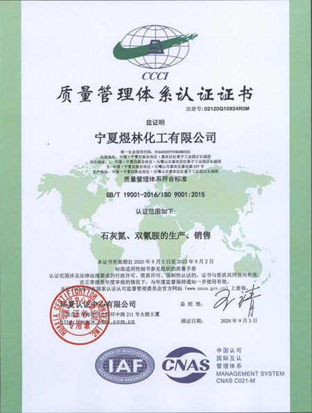 ISO9001(Chinese)