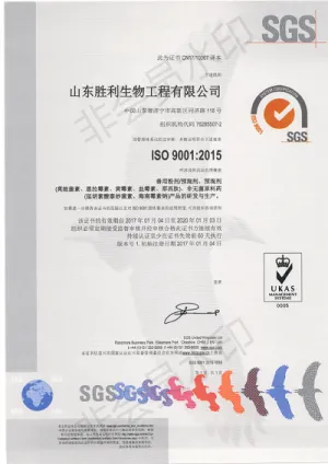 ISO9001(Chinese)