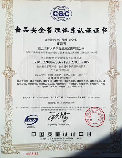 ISO9001(Chinese)